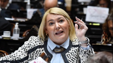 Bertone: “Voy a hacer lo imposible para defender que pueda continuar la ley 19640”