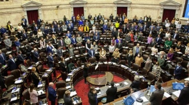 Diputados dio media sanción a la creación del Registro de Deudores Alimentarios