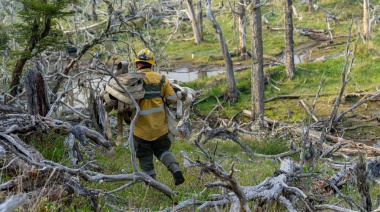 Ya son 6500 las hectáreas afectas por el incendio en el Corazón de la Isla