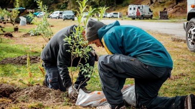 La Municipalidad de Ushuaia participó de una jornada de forestación junto al Club Atlético de Educación Fueguina