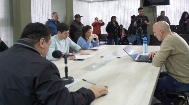 Concejales analizaron el proyecto presentado por feriantes