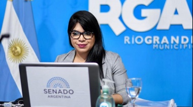 Duré pidió a Nación que informe sobre el avión militar inglés que voló sobre territorio argentino