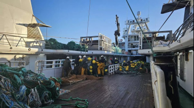 Pesca ilegal en Malvinas: La sobreexplotación agota el calamar y amenaza el superávit británico