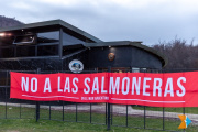 Ley Cherñajovsky: El proyecto libertario para modificar la ley antisalmoneras se vuelve a tratar mañana