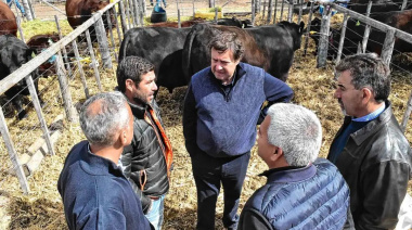 En Río Negro apuntaron contra el levantamiento de la barrera y se definió una estrategia tras el fallo de Tierra del Fuego