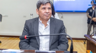 Pino: "Hoy no hay ninguna propuesta seria para resolver la situación en la OSEF"