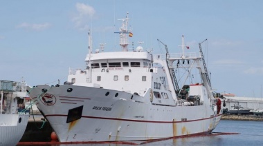 Durante la temporada, España pescó 53.500 toneladas de calamar en Malvinas