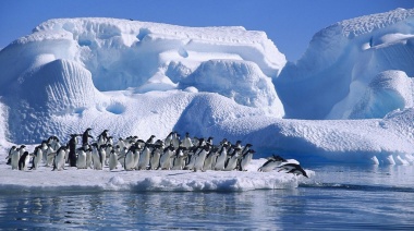 Las plataformas de hielo de la Antártida son más delgadas de lo que se pensaba