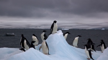 El hielo marino en la Antártida llegó a un mínimo histórico este invierno boreal