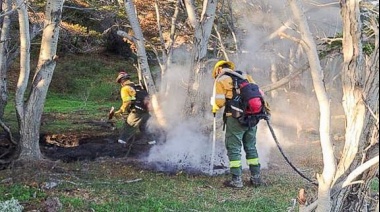 Se extinguió un foco de incendio en cercanías a la reserva natural Playa Larga