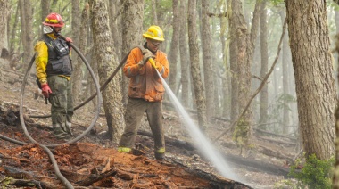Incendio en el "Corazón de la Isla": Se reactivó el fuego producto de fuertes vientos
