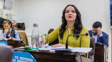 Vuoto buscar exceptuar del pago del 100% de servicios de agua, luz y cloacas a la UNTDF y al CADIC