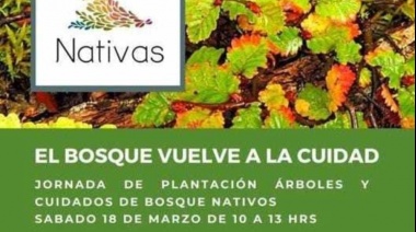 Ushuaia: Se realizará una jornada de reforestación y cuidado del bosque nativo