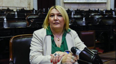 Corte de luz: Bertone le respondió a Melella