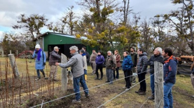Tierra del Fuego: El INTA impulsa la producción comercial de frutas finas