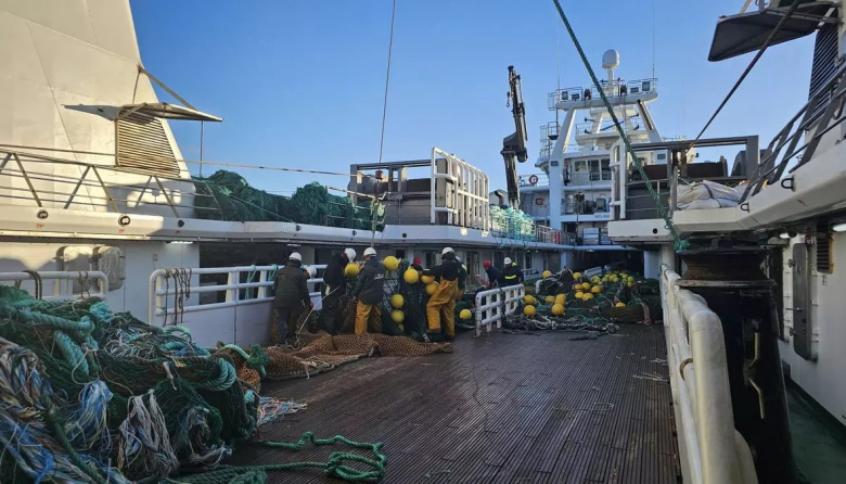 Pesca ilegal en Malvinas: La sobreexplotación agota el calamar y amenaza el superávit británico