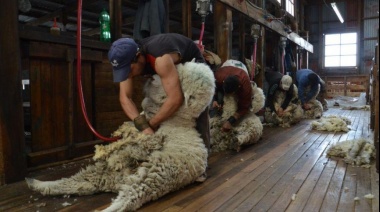 Nación creó un programa de compensación económica para productores patagónicos de lana