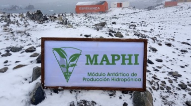 Antártida: La Base Esperanza produce las primeras verduras de hoja