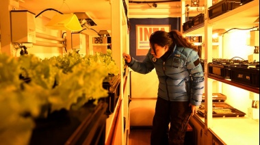 La base Marambio accede desde hace ya casi un año a los primeros vegetales frescos producidos en la Antártida