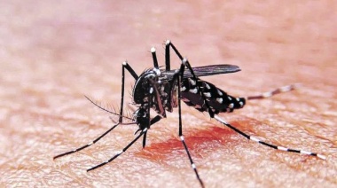Tierra del Fuego registró 7 casos de dengue