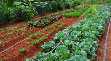 Río Grande: La UNTDF aprobó la creación de la carrera Ingeniería en Agroecología