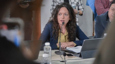 Avila: “La defensa que ha hecho Cristina Fernández del subregimen industrial es indiscutible”