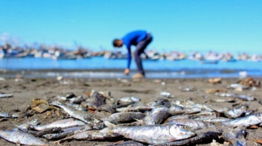 Ley Cherñajovsky: Desde el CONICET advierten que  los ecosistemas del Canal Beagle, lagos y lagunas en Tierra del Fuego corren riesgo de desastre ambiental