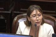 Cristina López: "Por un capricho de Milei y Mondino, peligra el reclamo por Malvinas en la ONU"