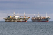 El Gobierno provincial alertó a las embajadas de Corea, España y China por incursiones ilegales en aguas de Malvinas