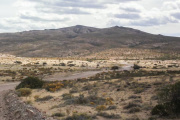 Nación busca eliminar los límites a la compra de tierras por extranjeros
