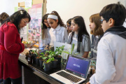 20 proyectos fueguinos avanzaron a la instancia nacional de la Feria de Ciencias y Tecnología